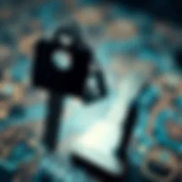 Illustration of cryptographic keys used in digital security