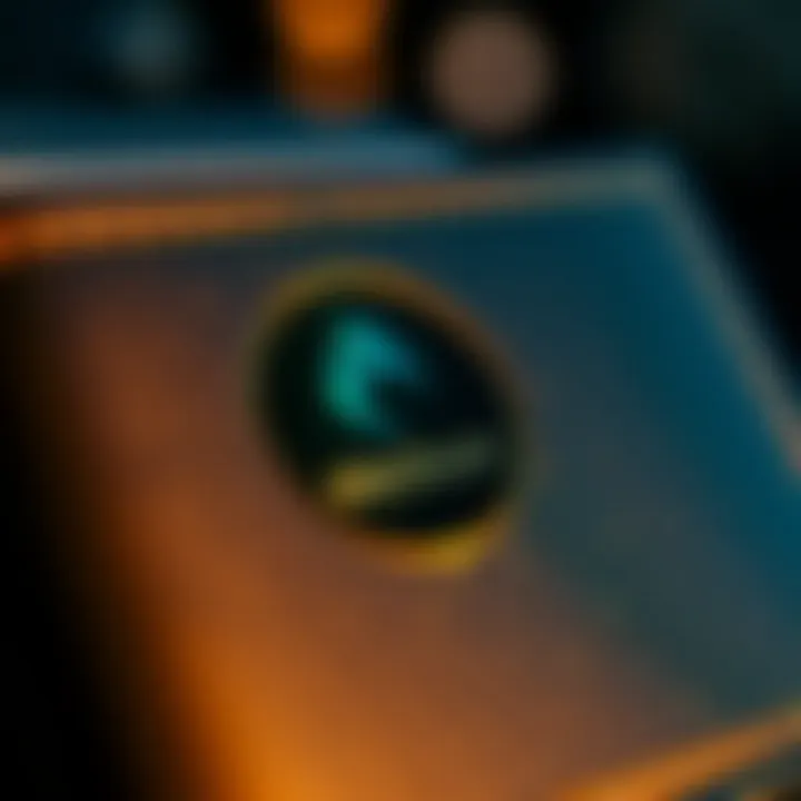Security features within Electrum wallets