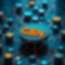 Overview of CSN Coin Network Architecture