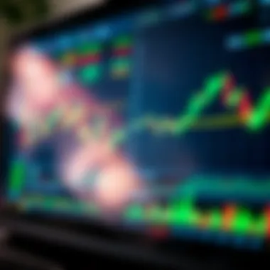 Various technical indicators available in TradingView