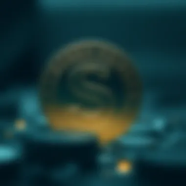 Sheesh Coin Logo A visual representation of the Sheesh Coin logo