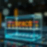 Visual representation of SPAC structure