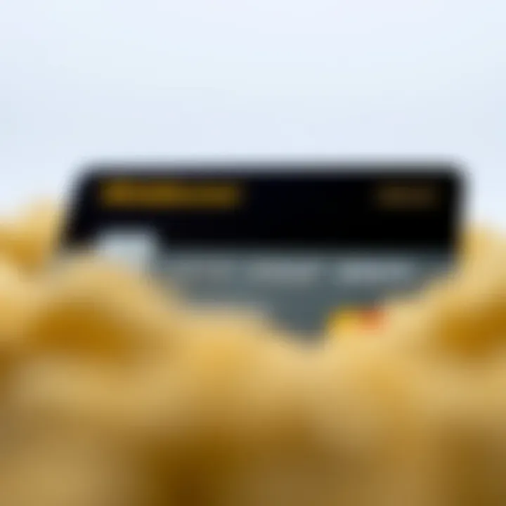 Detailed view of the Winklevoss credit card showcasing its unique design